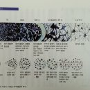 노자 도덕경 - 제 7 장. 天長地久(천장지구) - 해설본 이미지