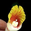 예심농장 이미지