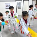 리더태권도장 이미지