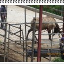 일출농장 이미지