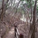 형제사슴목장 이미지