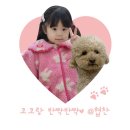 하누야 | [경기/부천]상동 로컬 찐 맛집 하누야에서 보양수육전골 후기