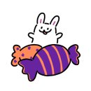씨더메종 이미지