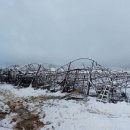 용인양계 이미지