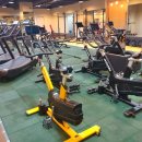 판크 트레이닝클럽 이미지