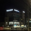 삼달548 | 여행 * 서귀포 여행 숙소 추천 에어비앤비 숙소 '삼달 548' + 연말 홈 파티 여행 홈 파티 추천 제주...