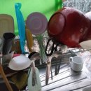 지리산꾸지뽕농장 이미지