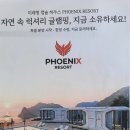 로얄파크장 이미지