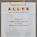 앨리스ALLYS 이미지