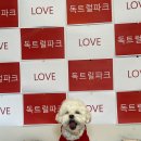 독트럴파크 이미지