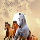 아름다운사람들 이미지