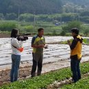 양평농장 이미지