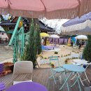 스테이 목월 이미지