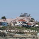 엘파로 펜션 이미지