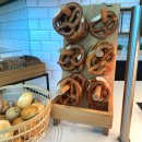 뮌헨 | 루프트한자 비즈니스 후기 (베를린-뮌헨-인천) 좌석 기내식 라운지