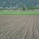 국제농장 이미지