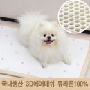 조은자리