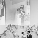 다르미앙 이미지