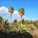 제주커피박물관 바움 | 제주 빛의 벙커 카페 바움 커피박물관 제주도 가볼만한곳