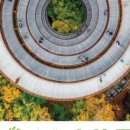 생명과 공존의 숲( 이미지