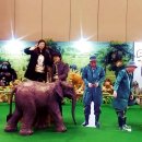 엑스포상사 이미지