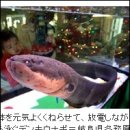 세계전기조명