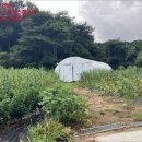 성하리마을회관 이미지