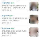 사공칠(407) 이미지