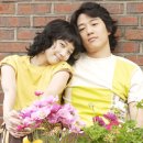 옥탑방고양이 이미지