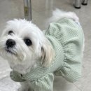 강남대로6길 12 이미지