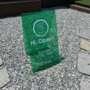 댕스파크 이미지