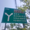 서곡리 고려벽화묘 이미지