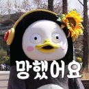 세차에미친사람들세차장