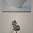 철화농장 | 대구 거실 인테리어 소품 , 서울 경기 희귀 선인장 용신목철화 , 전국배송 가능