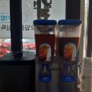 우가우가 이미지