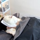필메디칼 | 천안피부관리 추천 | 청수동 미우에스테틱에서 받은 아쿠아필 솔직후기
