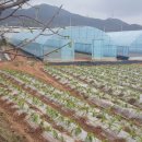 관리농장 이미지