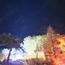 마산 구산면 펜션 더숨포레스트 동계캠핑 커플 카라반 로봇랜드 근처 트래킹 해돋이 추천 나들이