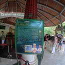 몽키김밥 | [해외여행][발리] 우붓 1일차 - 자티코티지, 몽키포레스트, 연꽃사원 스타벅스, 코코마트