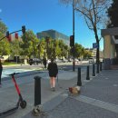 더피쉬(THE FISH) | [산호세] 피쉬앤칩스 맛집, 더 시티 피쉬(the City Fish)와 모델로 맥주