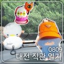 수원-0809 이미지