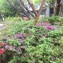 (주)꿈의엔진