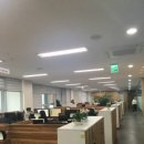 헬리오네이처 이미지