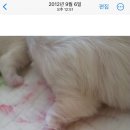 중로1-257 | [일상] 맛있는것도 많이 먹고 재밌는것도 많이 본 일상