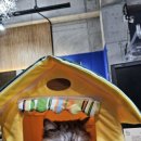 더나은메디컬 이미지