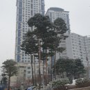 충무로29
