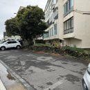 하얀달(HAYANDAL) 이미지