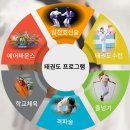 한누리고려대중태권도장 이미지