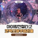 코엑스아쿠아리움 | 서울 아이와 가볼만한곳 코엑스 아쿠아리움 강남 아이랑 데이트 후기 (씨라이프 코엑스)