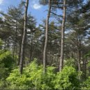 주왕산파크모텔 이미지